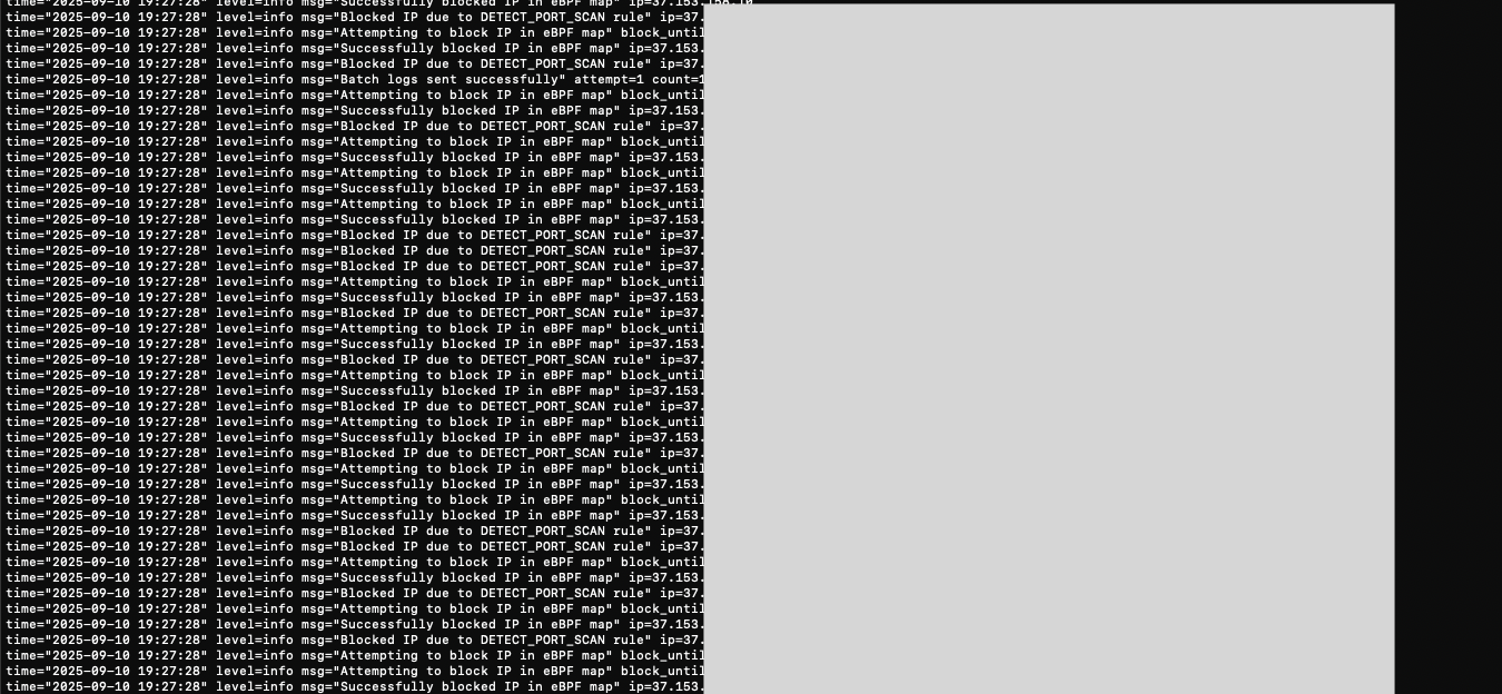 Agent CLI